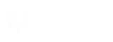 ai-solution-malaysia-gemma-4-Local-LLM-setup